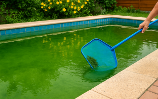 APS25-Is Your Pool Turning Green